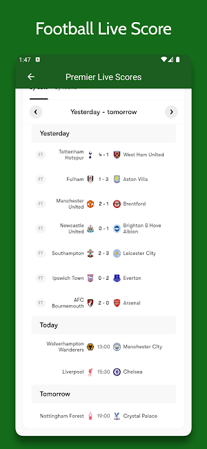 All Football Leagues Live Screenshot 0