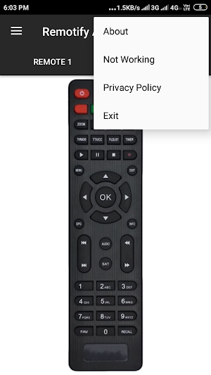 Mpeg-4 Remote Control Screenshot 3