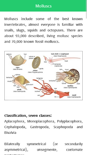 Zoology Book Screenshot 3