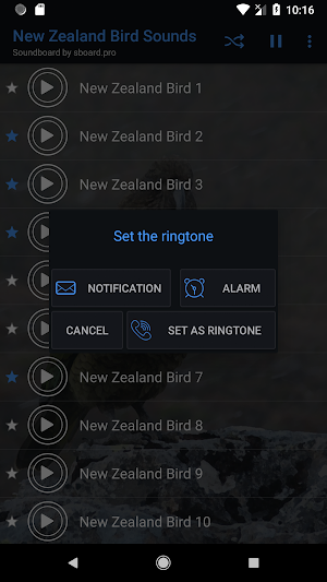 New Zealand Bird Sounds ~ Sboard.pro Screenshot 2