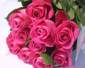 Rosas Hermosas para ti con Amor Screenshot 3