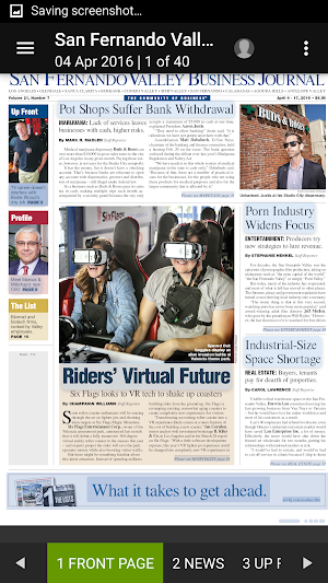 SFV Business Journal Screenshot 2