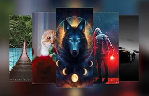 Ultimate Offline Wallpaper Screenshot 1