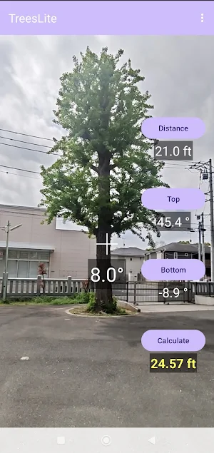 TreesLite Screenshot 0