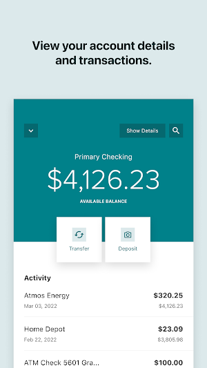 Widget Financial Mobile Screenshot 2
