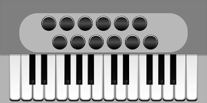 Accordion - A 26 Keys Piano Accordion Screenshot 2
