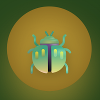 Hermit Watch: Beetle Quiz