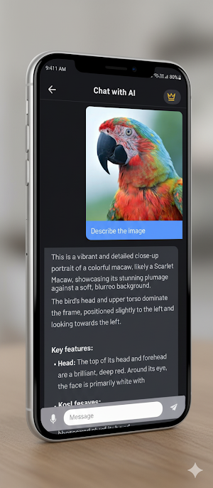 AiVision Pro-SmartAI Assistant Screenshot 2