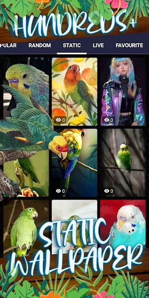 parakeet wallpaper Screenshot 3