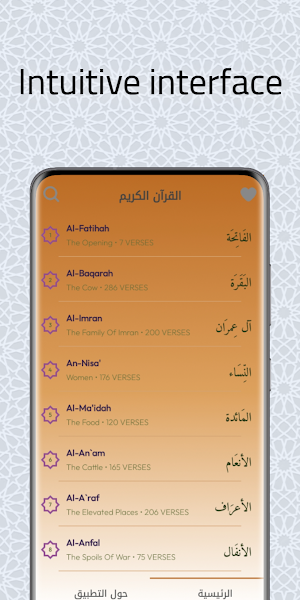 Quran Audio by Saad El-Ghamidi Screenshot 1