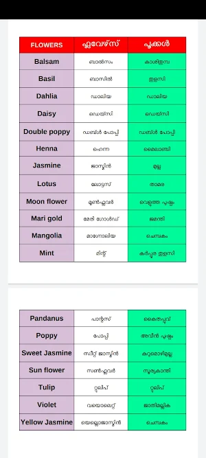 English Malayalam Guide Screenshot 2