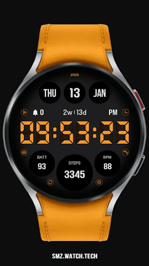 SMZ 'Knights Pro E2' Screenshot 3