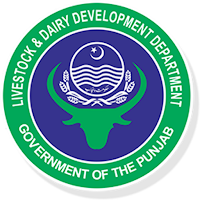 Livestock Punjab SPMS-9211