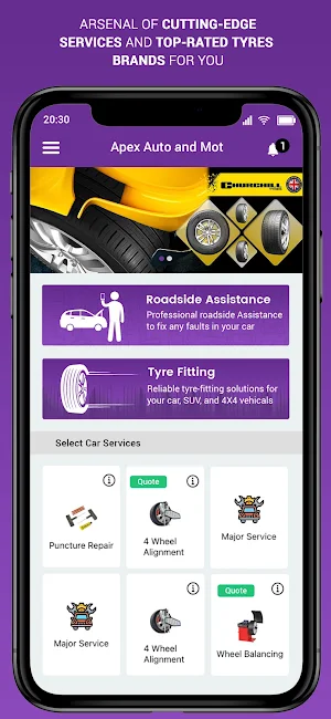 Apex Auto and Mot Screenshot 0