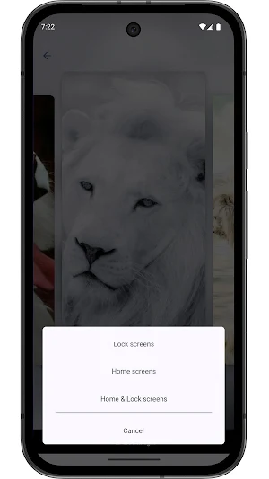 White Lion Wallpapers 4K & HD Screenshot 3