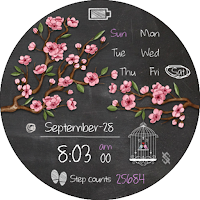BFF116 - Blackboard Art Sakura