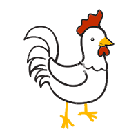 Rooster Fly