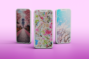 Cherry Blossom Wallpaper Screenshot 0