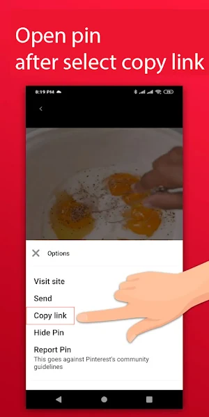 Video Pinterest Downloader Screenshot 0
