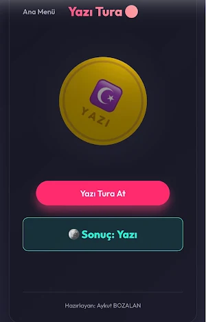 Evde Etkinlik Çarkı Screenshot 3