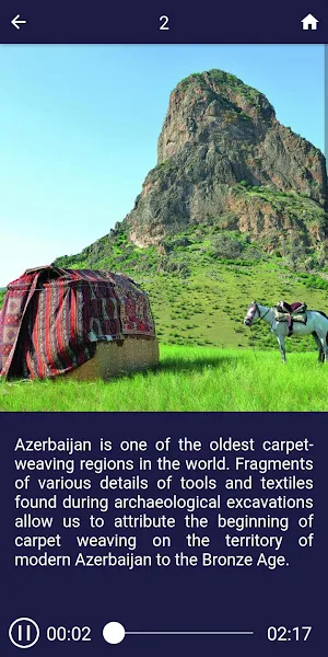 Carpet Museum Screenshot 2