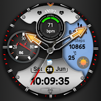 FSW290 Hybrid Watch face