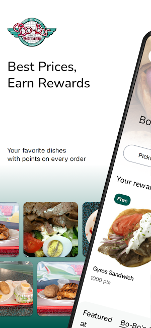 Bo-Bo's Gyros Vernon Hills Screenshot 0