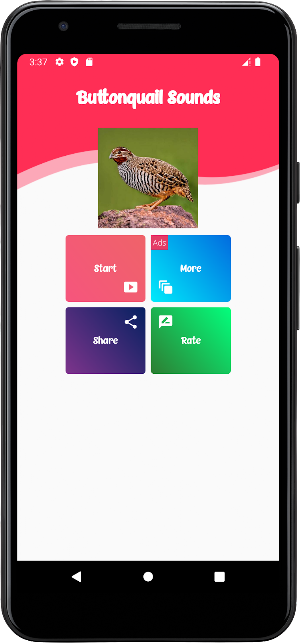 Buttonquail Sounds Screenshot 0