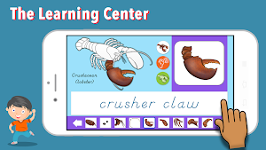 Parts of Animals Invertebrates -Montessori Zoology Screenshot 2