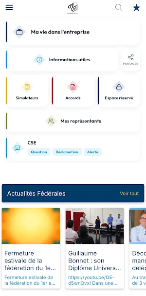 CFE-CGC Schneider Electric Screenshot 1
