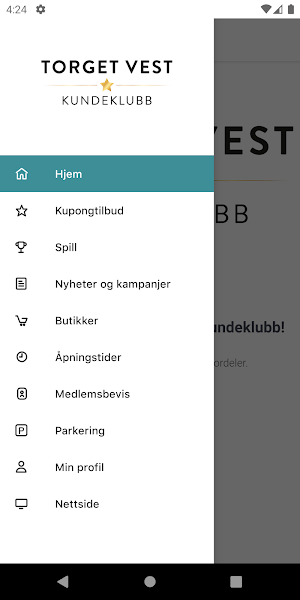 Torget Vest Screenshot 0