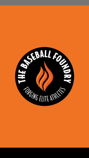 The Baseball Foundry Screenshot 0