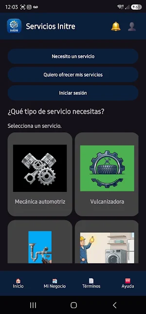 Servicios INITRE Screenshot 1