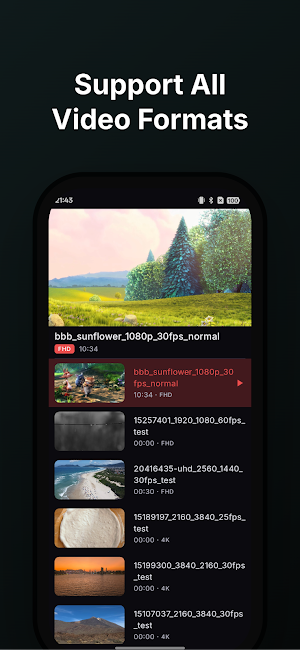 Flezi Video Player All Format Screenshot 2
