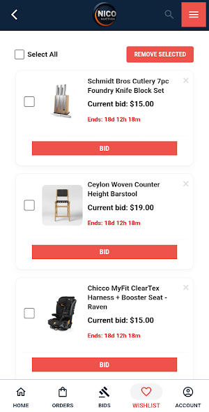 Nico Auction Screenshot 2