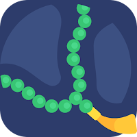 Tasbih & Dhikr - Life of Islam