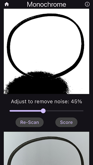 Circle Grader Screenshot 2
