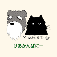 けあかんぱにーチャット