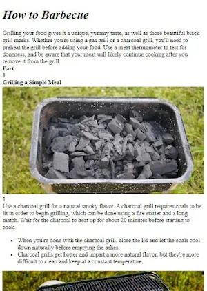 How to Make Barbecue Screenshot 1