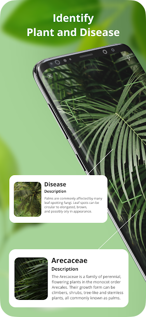 Identify This Plant Sick Screenshot 0