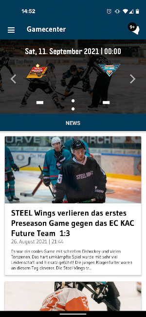 STEEL Wings Linz Screenshot 1