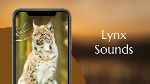 Lynx sounds Screenshot 0