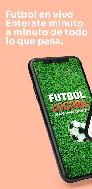 Futbol Locura Screenshot 2