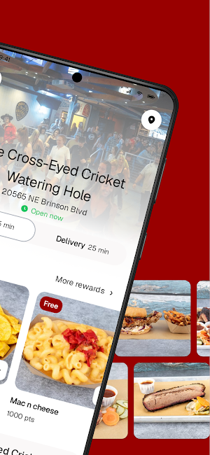 The Cross-Eyed Cricket Screenshot 1