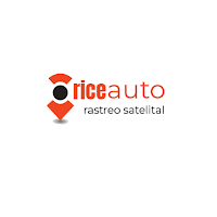 Rice Auto