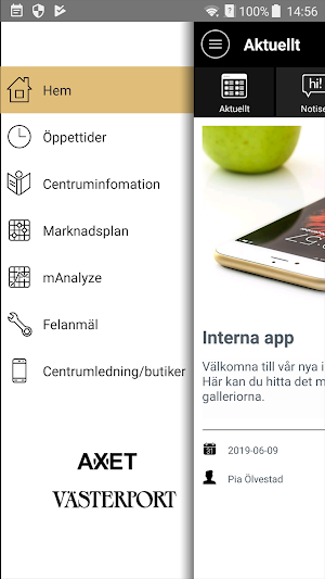 VP/Axet Internt Screenshot 0