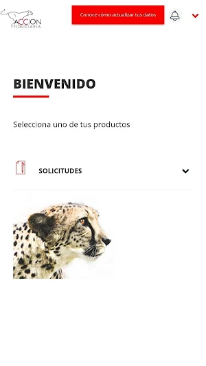 Centro de Negocios AF Screenshot 2