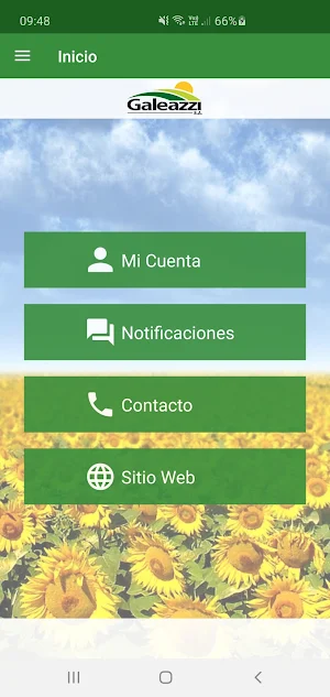 Galeazzi S.A. Screenshot 2