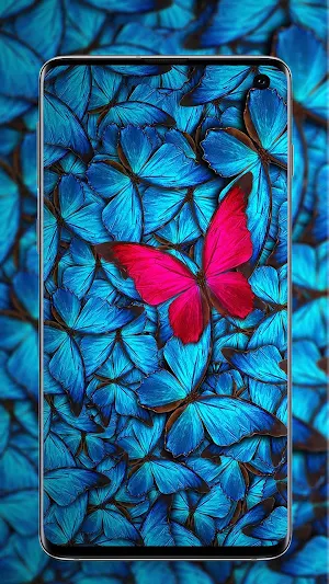 Butterfly Wallpaper - Colorful Butterfly HD & 4k Screenshot 3