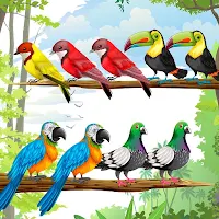 Color Bird Sort - Puzzle Games
